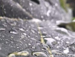 Ilmuwan sulap tetesan air hujan jadi sumber listrik