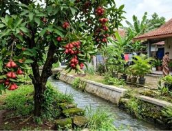 Inilah 7 pohon buah yang justru tumbuh subur di dekat saluran air