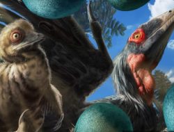 Dinosaurus tak pernah benar-benar punah, hanya ‘pindah’ ke piring makan kita