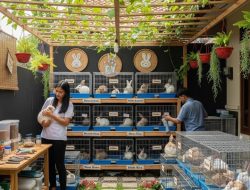Ini 9 ide usaha ternak pengganti kerja kantoran untuk ‘fresh graduate,’ raih cuan maksimal