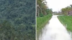 Warga Malangke Protes Proyek Sawah di Hulu Sungai, Dinilai Abaikan Penanganan Banjir