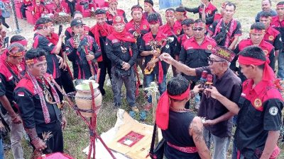 Jelang Pelantikan MMBB se-Kalbar, MMBB Landak Gelar Ritual Adat Nyangahatn di Ngabang