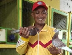 Inilah 11 usaha ternak yang menghasilkan uang setiap hari