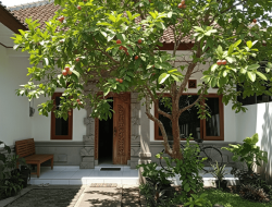 5 pohon buah hijau abadi, cocok ditanam di halaman rumah