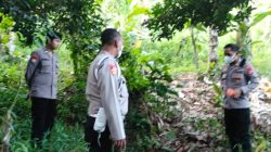 Kapolsek Pitumpanua : Mayat Ditemukan di Desa Batu Seorang Pelajar Warga Temboe Kabupaten Luwu