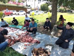 Sapi Kurban Pemkab Lampung Timur Jadi Perekat Solidaritas Insan Pers