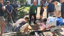 Iduladha 1447 H, PWI Sumut sembelih 6 hewan kurban