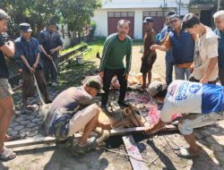 Iduladha 1447 H, PWI Sumut sembelih 6 hewan kurban