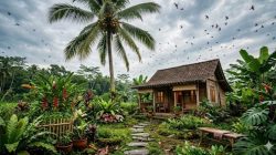 10 ide kebun kecil penarik burung walet, ciptakan ekosistem alami