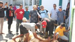 Anggota DPR-RI Longki Djanggola Salurkan 33 Ekor Sapi Kurban Pada Idul Adha 1447 H.