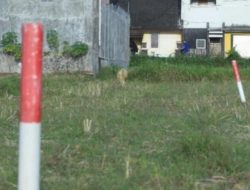 Punya tanah kosong? Wajib lakukan 4 hal ini agar tak diserobot pihak lain!