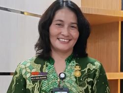 2.700-an pohon di Medan ditebang untuk pembangunan proyek BRT, DLH Medan: Akan diganti jadi 61.000 pohon