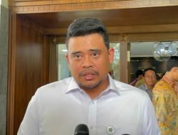 Bobby Nasution: Ironis, Sumut penghasil sawit tapi susah cari minyak goreng
