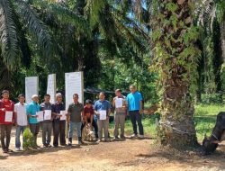 PT Laot Bangko Salurkan Hewan Kurban ke 9 Desa Sekitar Operasional Perusahaan