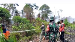 Kebakaran Lahan di Nagan Raya Meluas, Sedikitnya 70 Hektar Lahan Hangus Terbakar