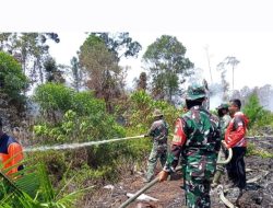 Kebakaran Lahan di Nagan Raya Meluas, Sedikitnya 70 Hektar Lahan Hangus Terbakar
