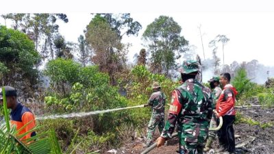 Kebakaran Lahan di Nagan Raya Meluas, Sedikitnya 70 Hektar Lahan Hangus Terbakar