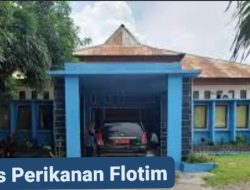 Diduga Ada Desain, Proses Lelang Proyek 2026 Tuai Masalah, Bupati Anton Doni Dihen Lost Control, Kejari Flotim Didesak Usut Tuntas.