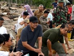 Gandeng APH, Pemprov Sumut perkuat pengawasan tambang ilegal