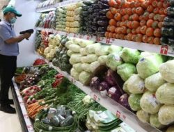 Warga RI banyak konsumsi sayur dan buah mengandung mikroplastik tertinggi