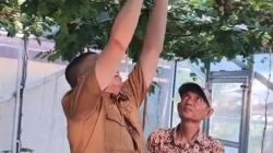 Desa Pakanna Dinilai Layak Terima Bantuan Motor Sampah Roda Tiga, DLH Wajo Apresiasi Keberhasilan Gerakan PISOTA’
