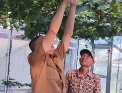 Desa Pakanna Dinilai Layak Terima Bantuan Motor Sampah Roda Tiga, DLH Wajo Apresiasi Keberhasilan Gerakan PISOTA’
