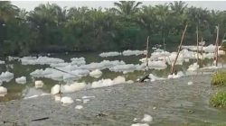Diduga limbah pabrik, busa cemari sungai dan sawah di Deli Serdang